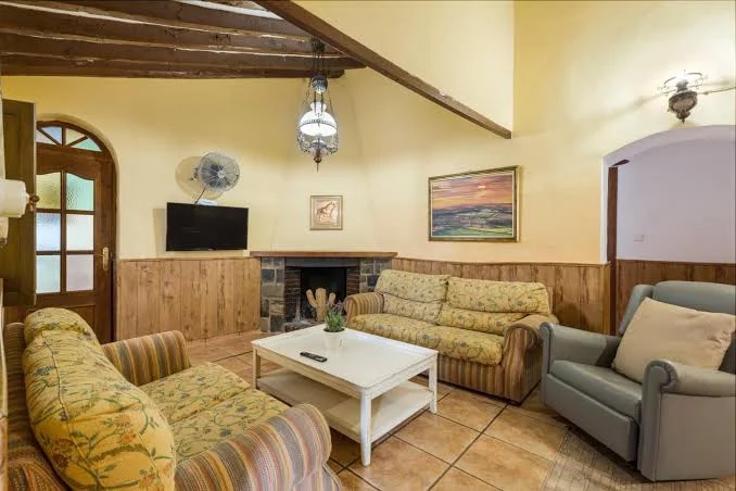 Salón con chimenea tradicional
